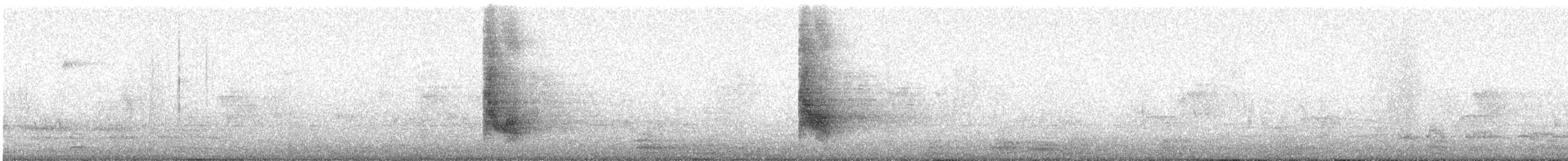 Northern Mockingbird - ML647543418