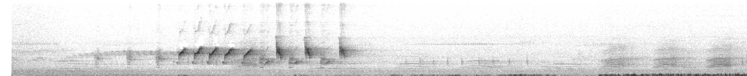 Australrohrsänger - ML647543472