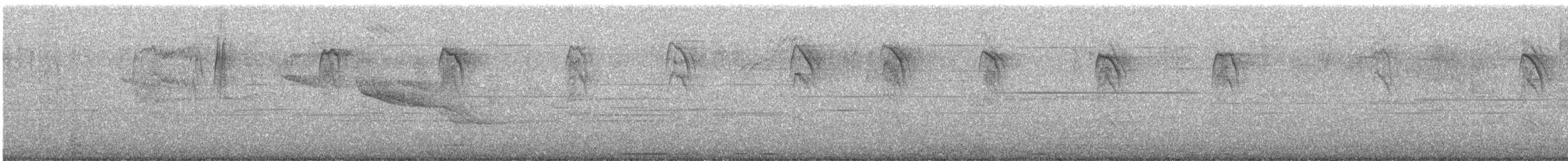 Langschwanz-Spottdrossel - ML647543501