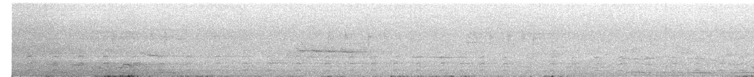 Streifenpirol - ML647543505