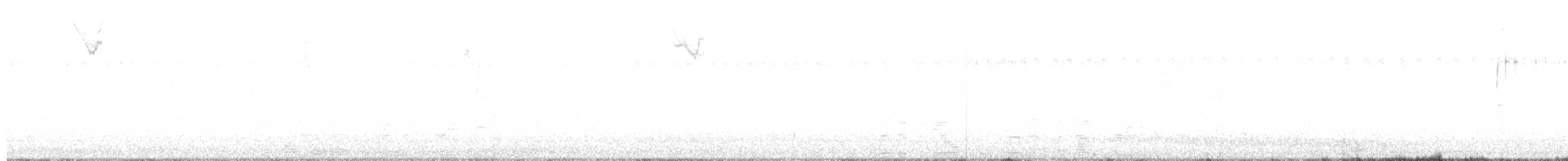 Rotkardinal - ML647543654