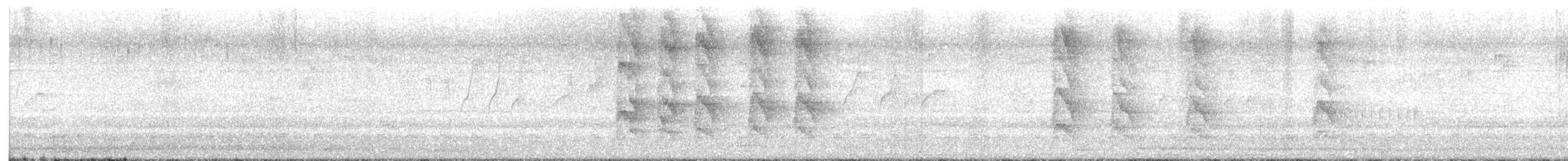 Halsbandsittich - ML647543760