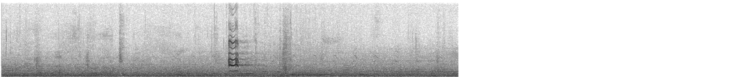 Marmorschnepfe - ML647543779