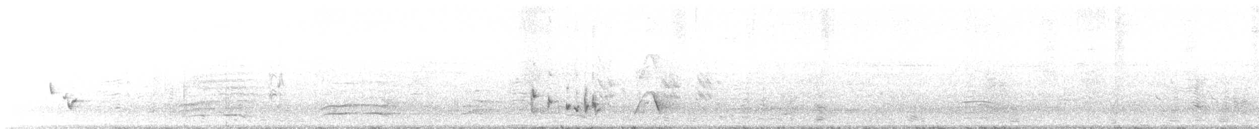 Weißohrbülbül - ML647543785