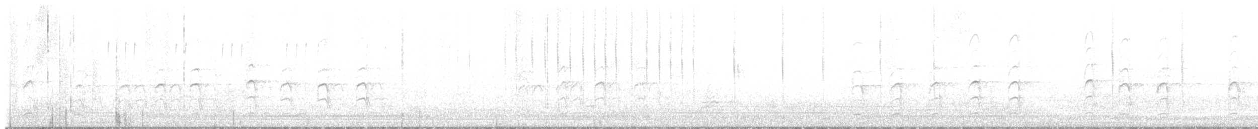 Costa's Hummingbird - ML647543951