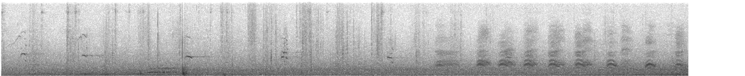 Rotschwanzbussard - ML647544041