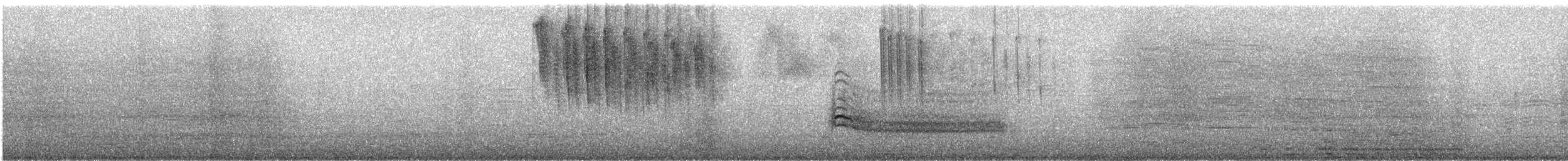 Rotschwanzbussard - ML647544042