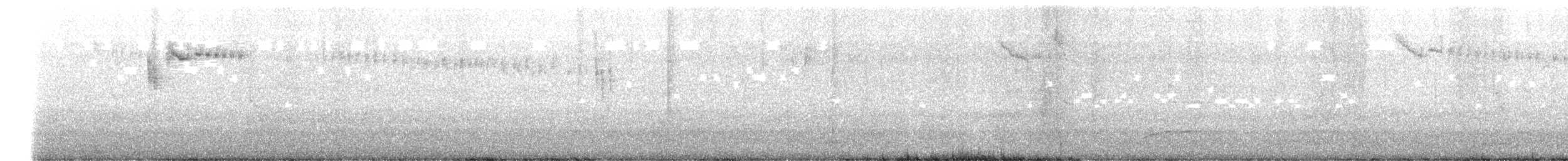 Değişken Peribülbülü - ML647544750