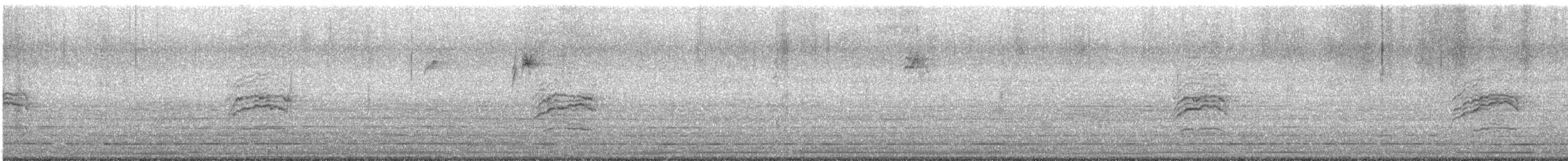 Hermit Thrush - ML647544823