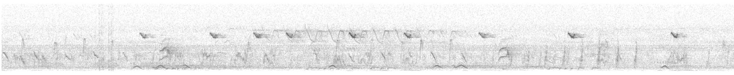 Kırmızı Avadava (amandava/punicea) - ML647544895