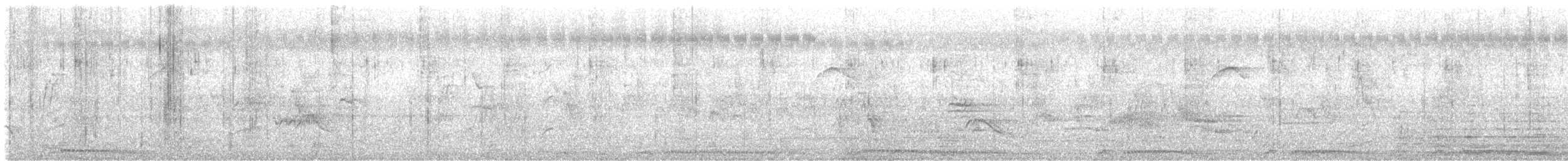 Spotted Dove - ML647545136