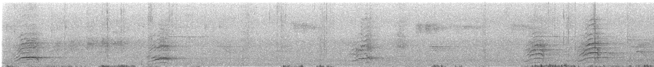 ニシインドコサイチョウ - ML647545664