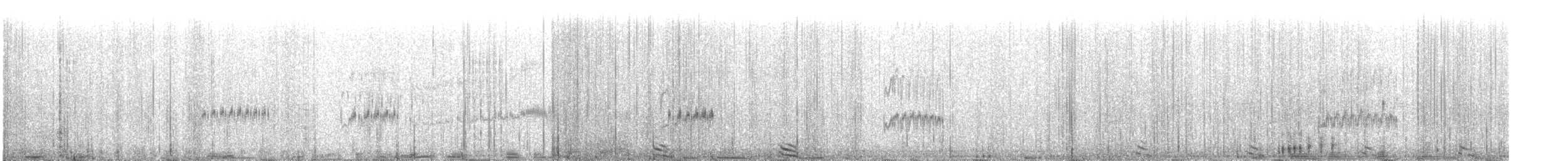 Western Sandpiper - ML647545866