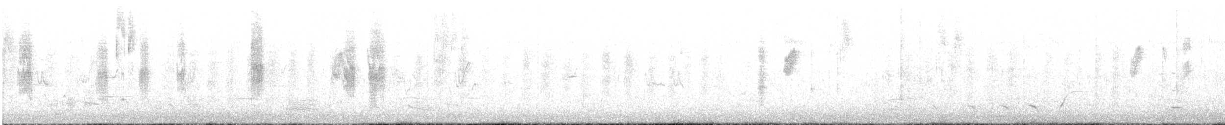 Brown Thornbill - ML647545975