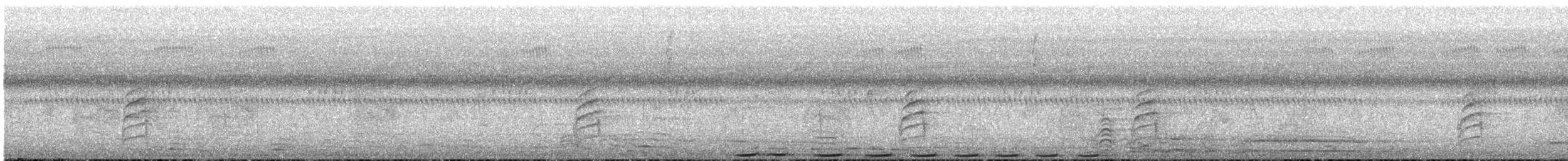 Blue-headed Coucal - ML647546050