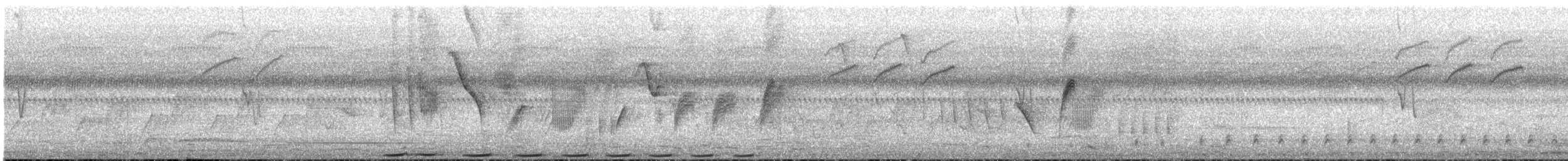 Blue-headed Coucal - ML647546051