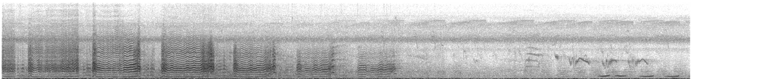 Black-and-white-casqued Hornbill - ML647546053