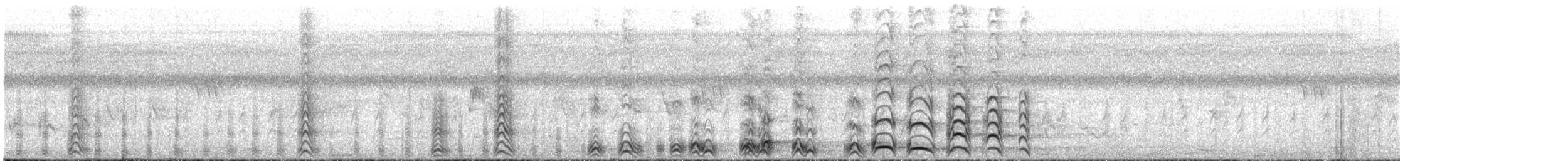 Eastern Plantain-eater - ML647546059