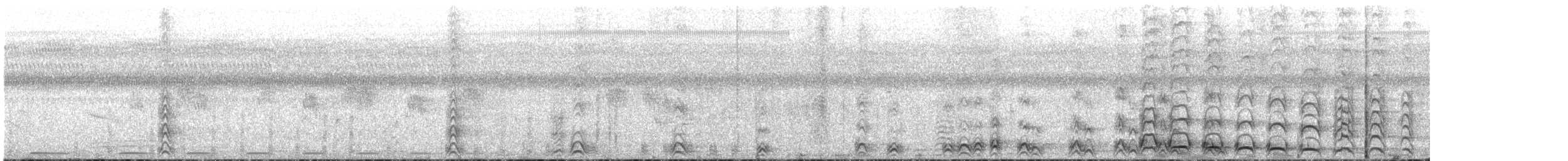Touraco à queue barrée - ML647546062