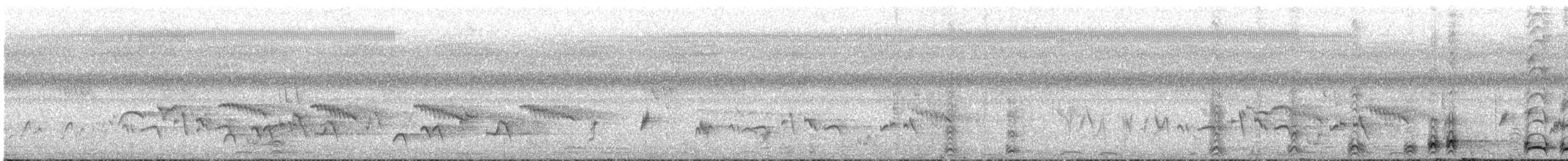 Touraco à queue barrée - ML647546064