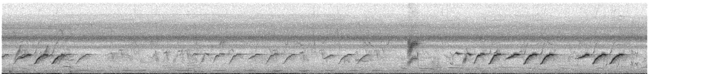 Tchitrec d'Afrique - ML647546071