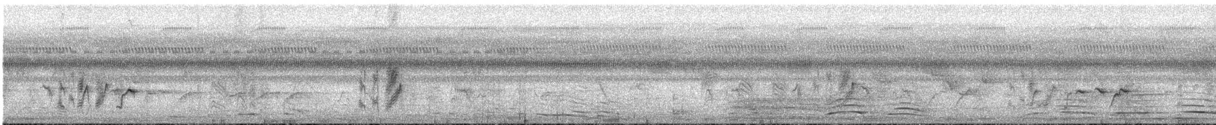 Tchitrec d'Afrique - ML647546072