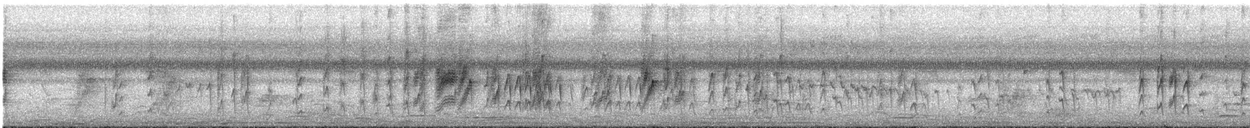 Tchitrec d'Afrique - ML647546073