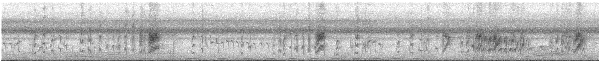 Tchitrec d'Afrique - ML647546074