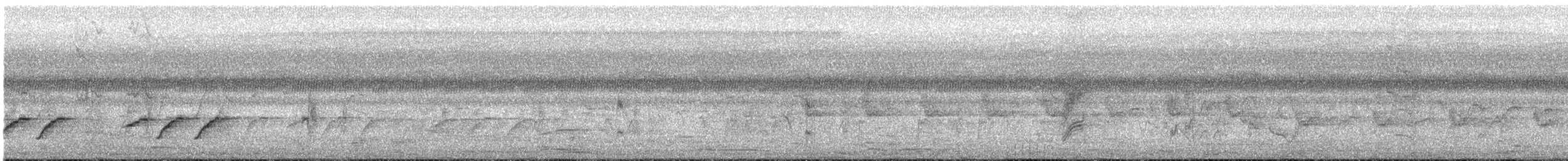 Tchitrec d'Afrique - ML647546075