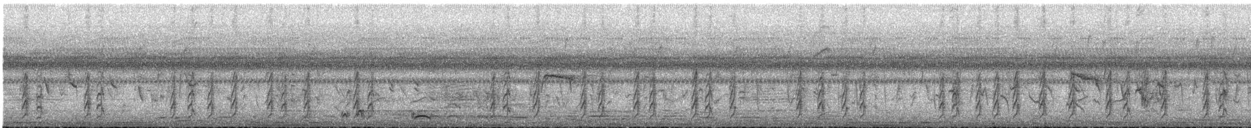 Bulbul des jardins (groupe tricolor) - ML647546080