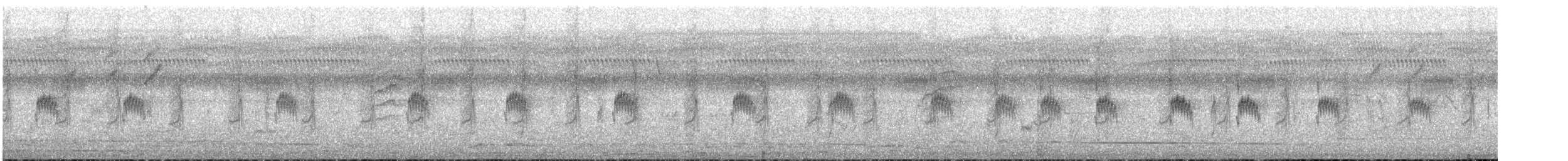 Capucin nonnette - ML647546083