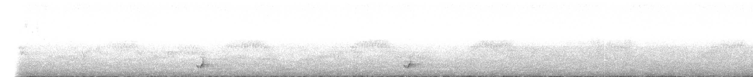 Little Friarbird - ML647547272