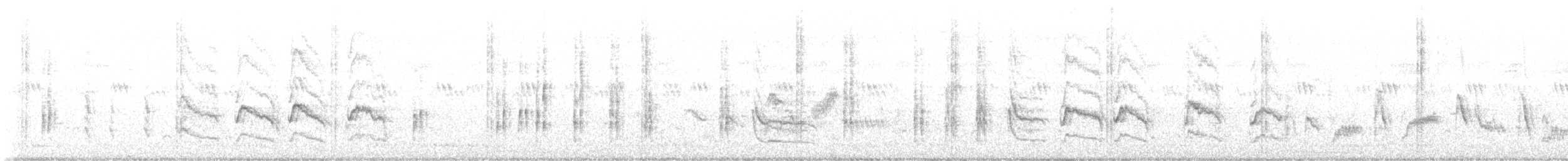 Schachwürger - ML647547307