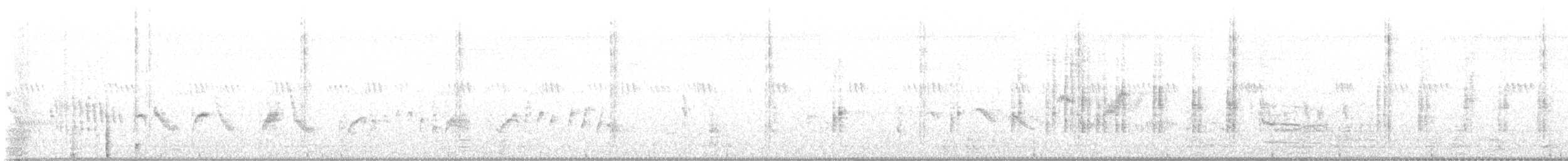 Schachwürger - ML647547308