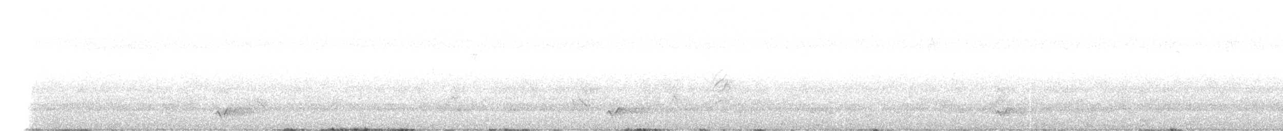 Little Friarbird - ML647547428