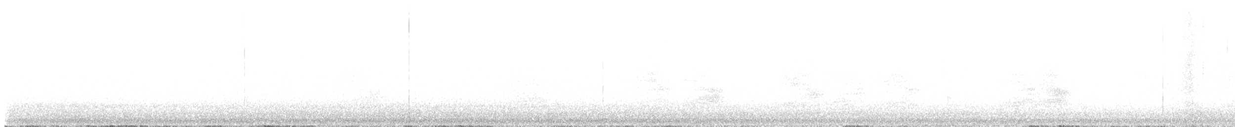 Steller's Jay - ML647549199