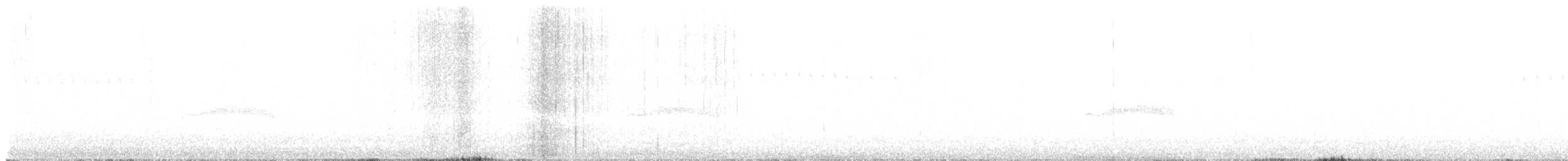 Western Wood-Pewee - ML647549297