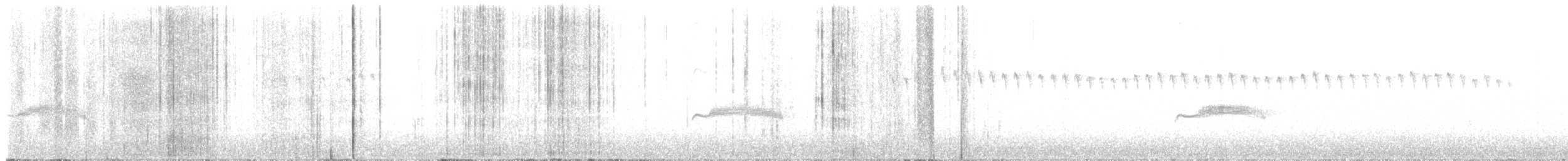 Western Wood-Pewee - ML647549327