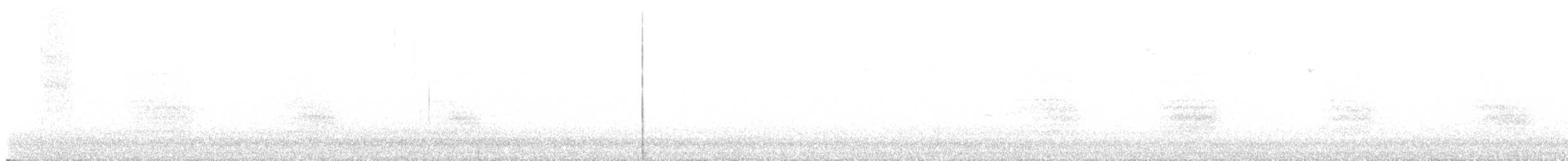 Steller's Jay - ML647549398