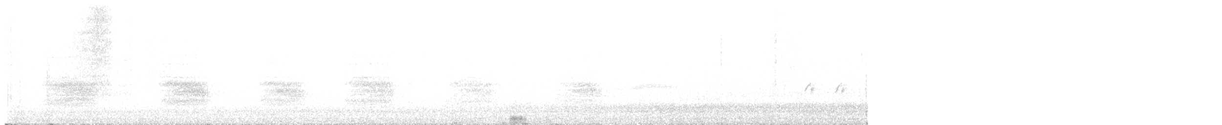 Steller's Jay - ML647549403