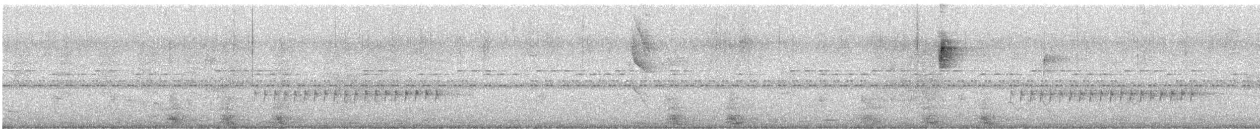 Long-billed Gnatwren - ML647549596