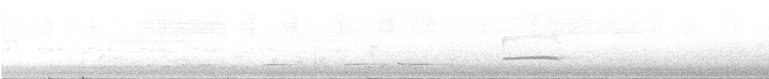 Sahul Brush Cuckoo - ML647549646