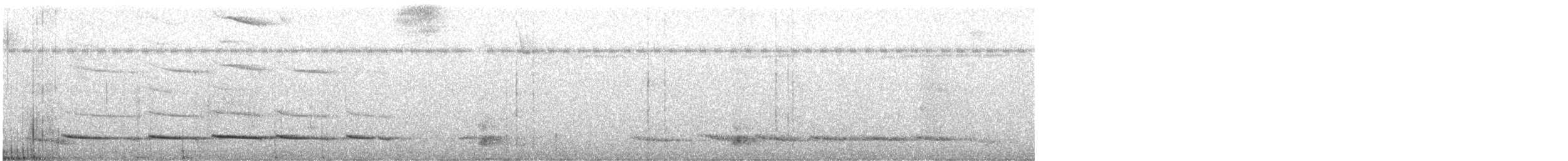 Streak-chested Antpitta - ML647549684