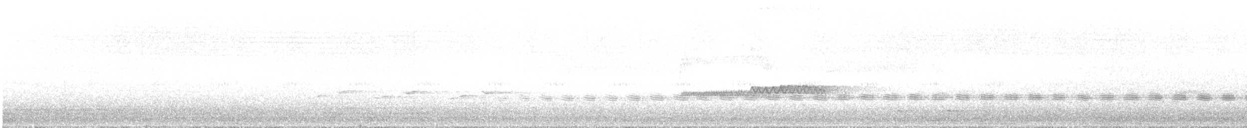 Sahul Cicadabird - ML647549789