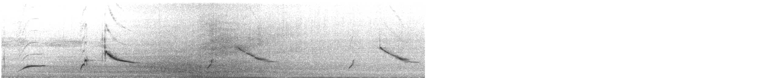 Melodious Blackbird - ML647549971