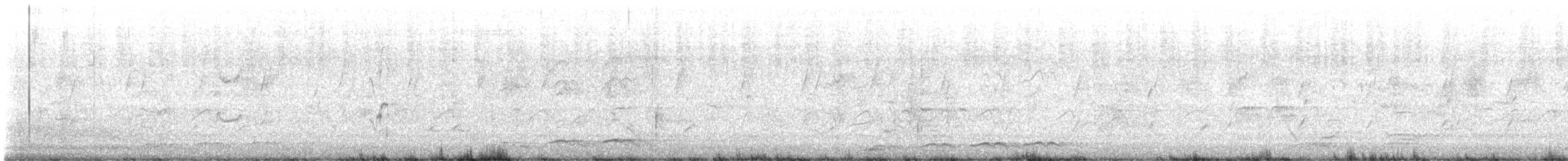 Pacific Koel (Australian) - ML647550001