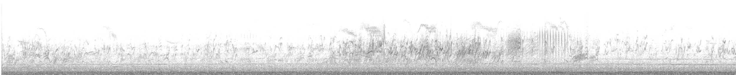 Barn Swallow (White-bellied) - ML647550021