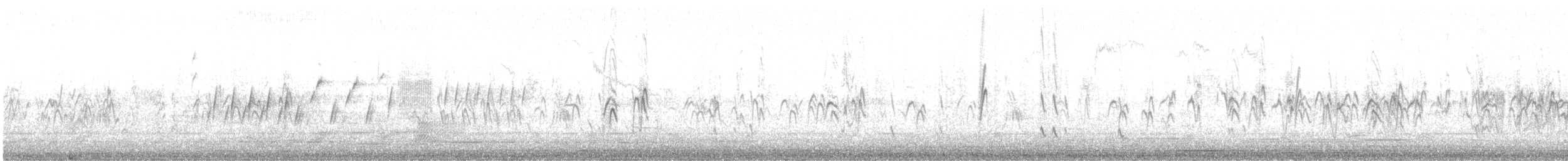 Barn Swallow (White-bellied) - ML647550029