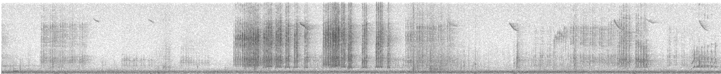 ヤドリギツグミ - ML647550975