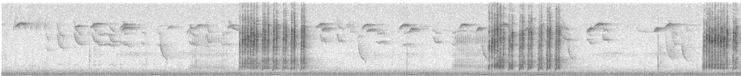 ヤドリギツグミ - ML647550976